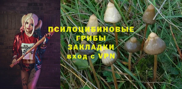 стафф Нягань