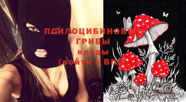 стафф Нягань