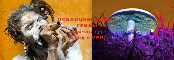 mdpv Нязепетровск